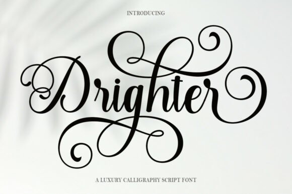 Drighter: A Romantic Script Typeface for Branding