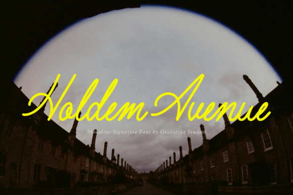 Holdem Avenue: A Premium Script Font for Web Design