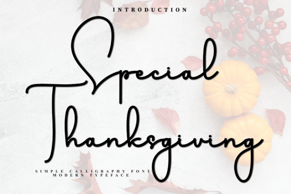 Special Thanksgiving: A Premium Script Font for Campaigns