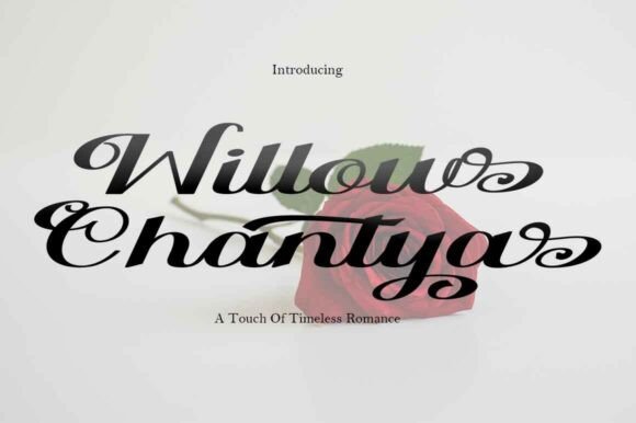 Willow Chantya: A Modern Script Font for Editorial Design